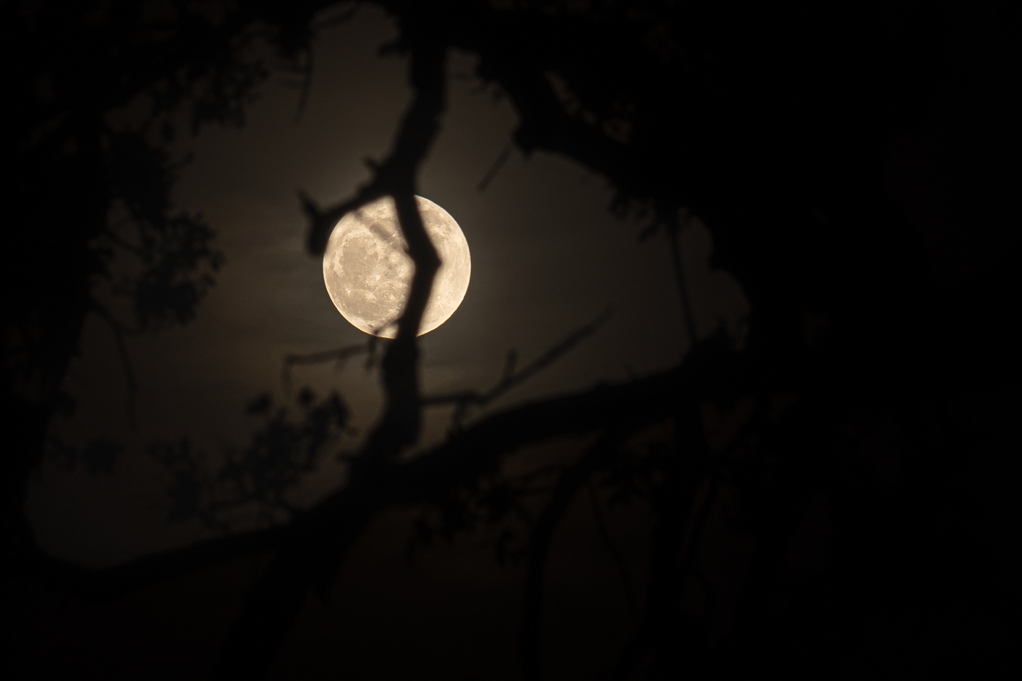 Plein lune en Corse avec Sony alpha