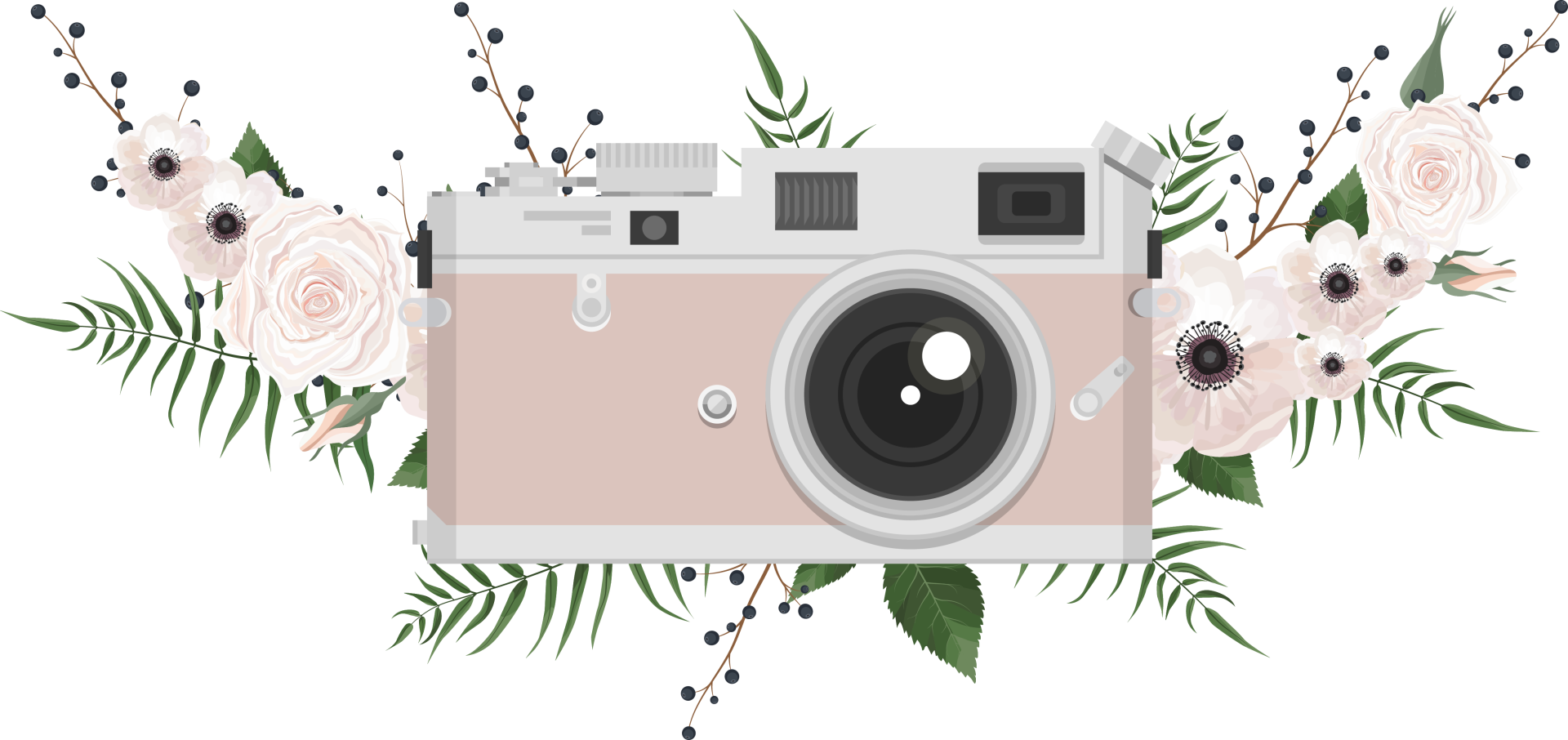 dessin appareil photo site sandy berthaud photographie