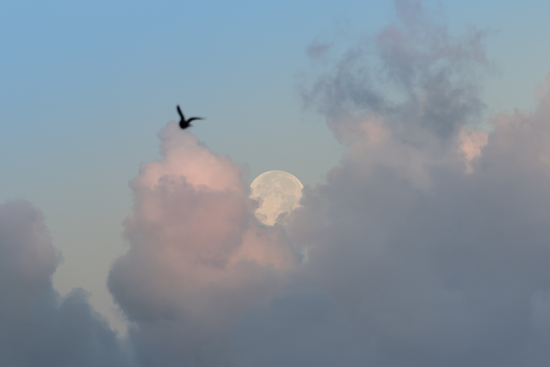 Coucher de pleine lune dans les nuages par sandy berthaud