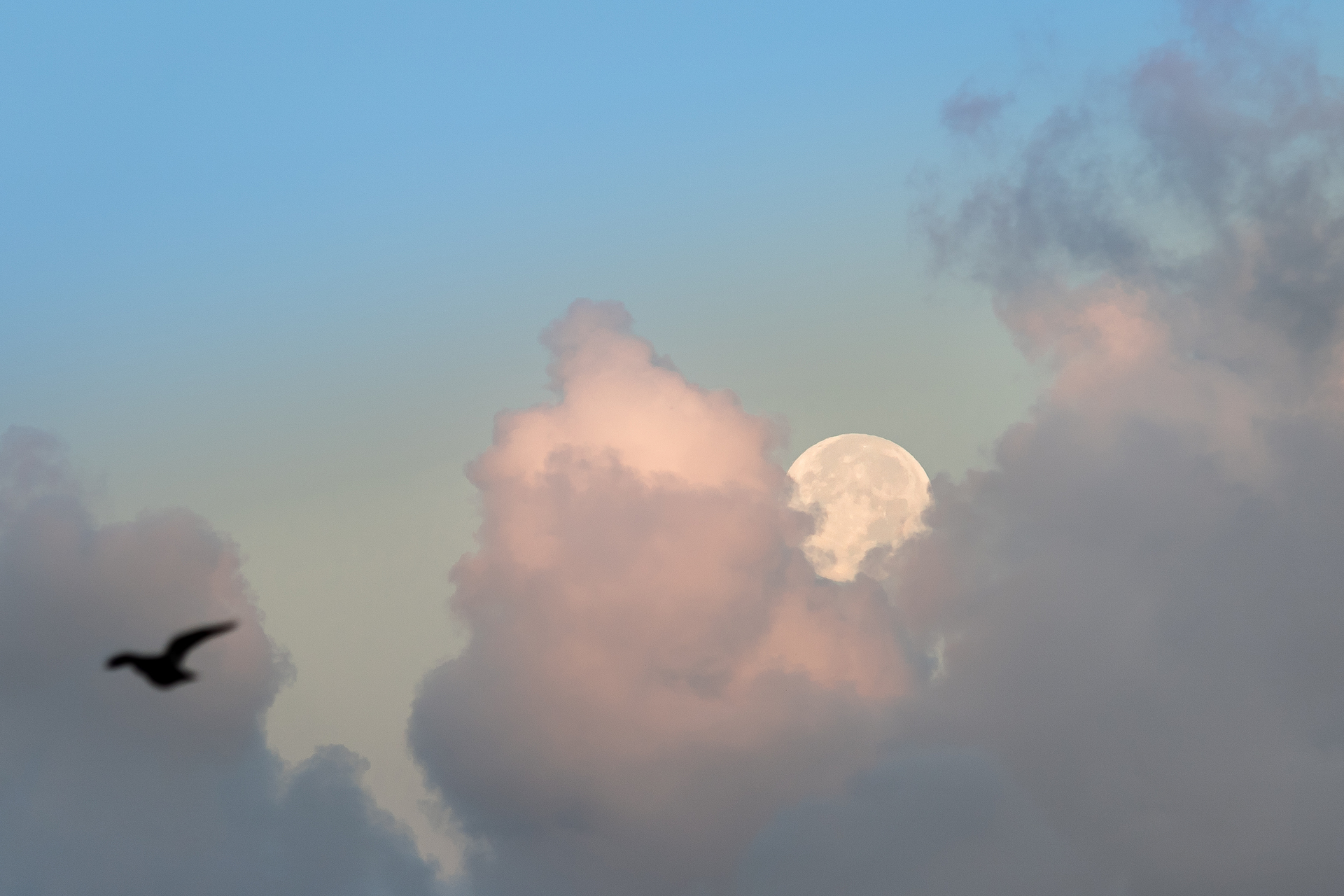Coucher de pleine lune dans les nuages par sandy berthaud