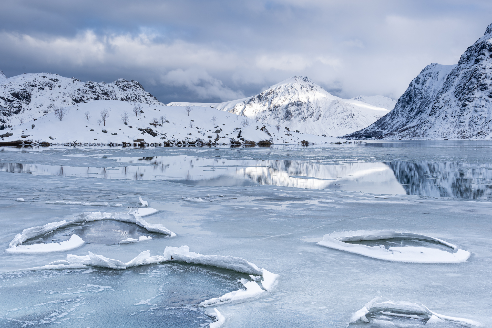 Voyage photo lofoten par Sandy Berthaud