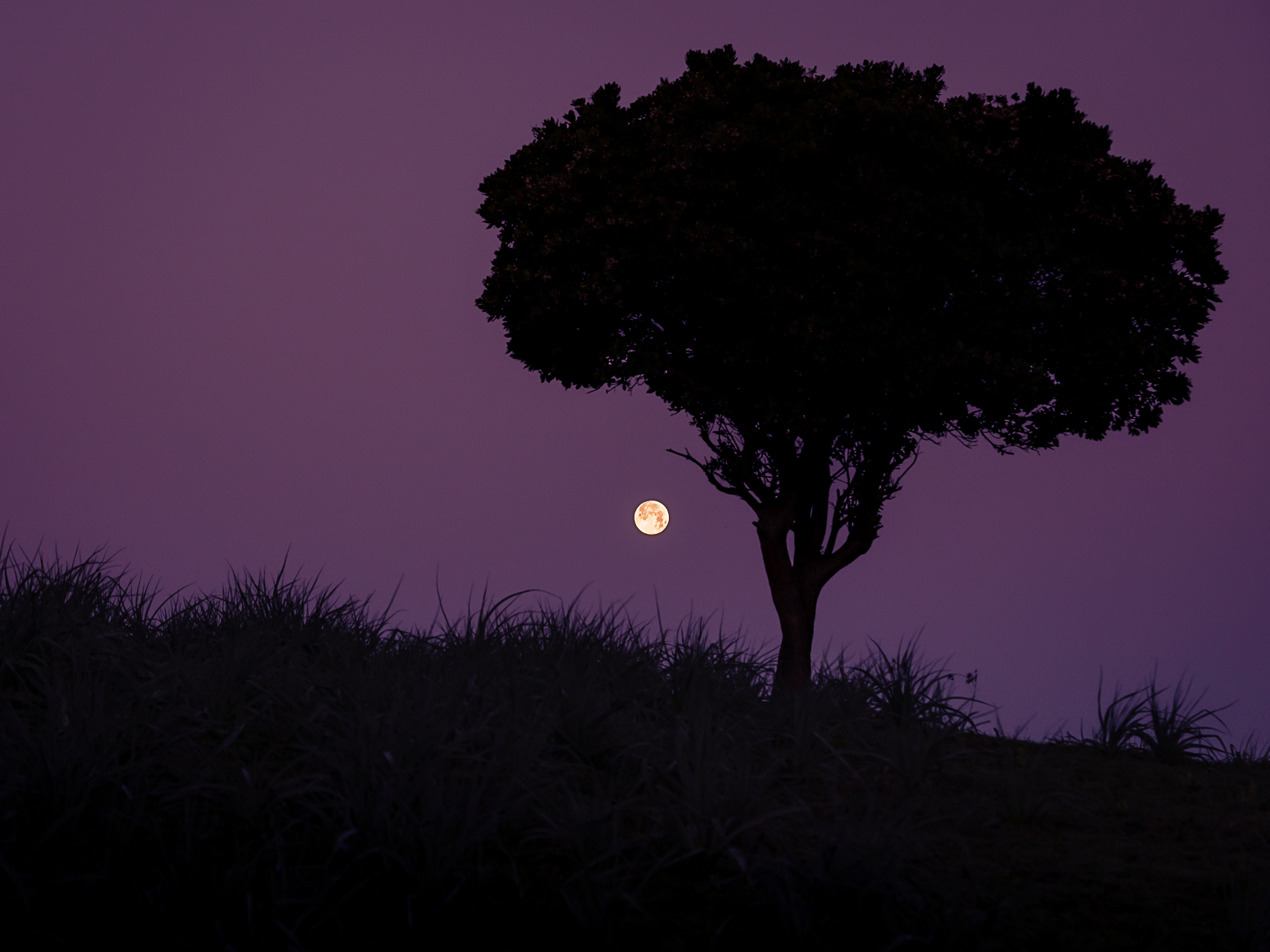 Photo de la pleine lune par Sandy Berthaud