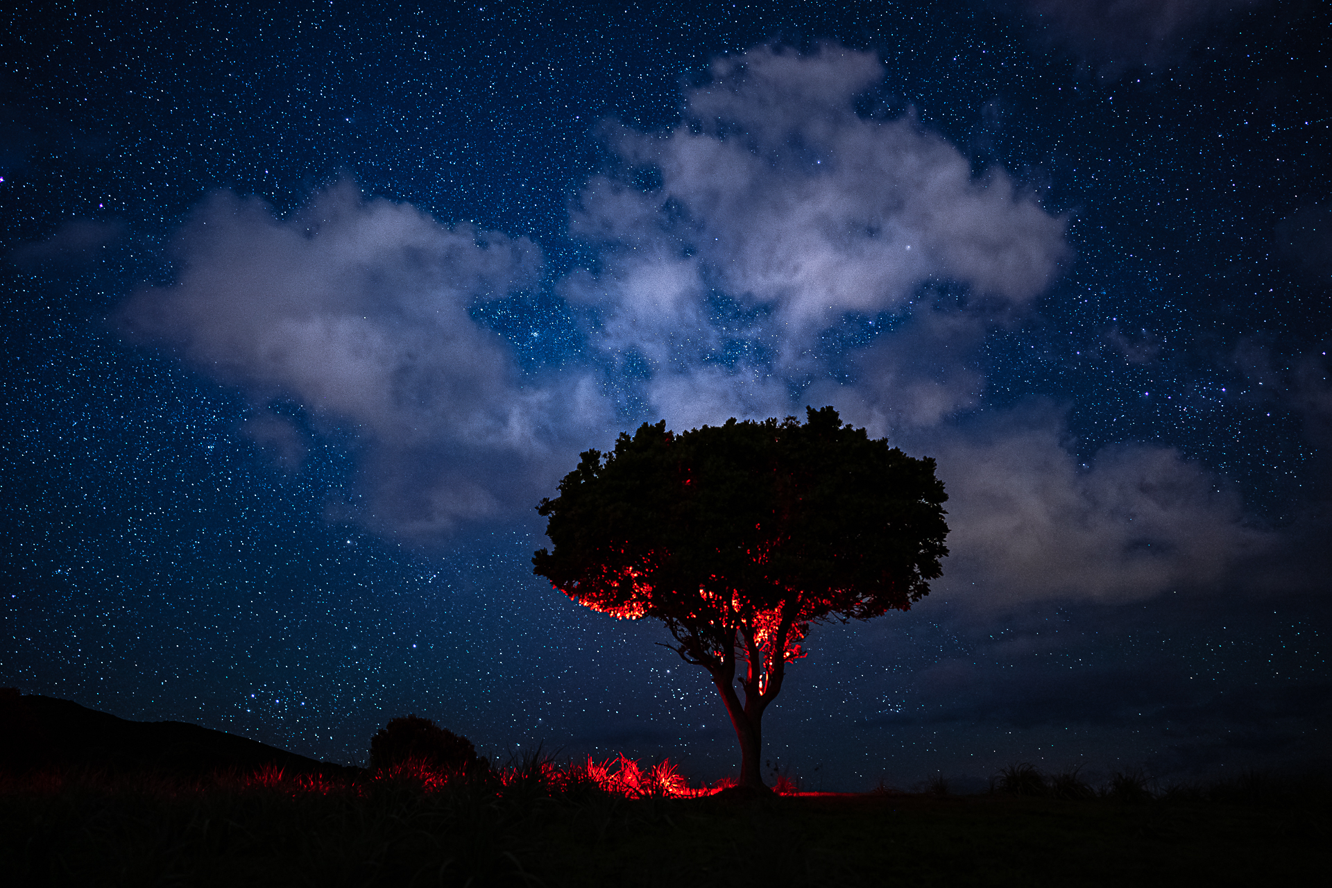 Photographie des étoiles par Sandy Berthaud