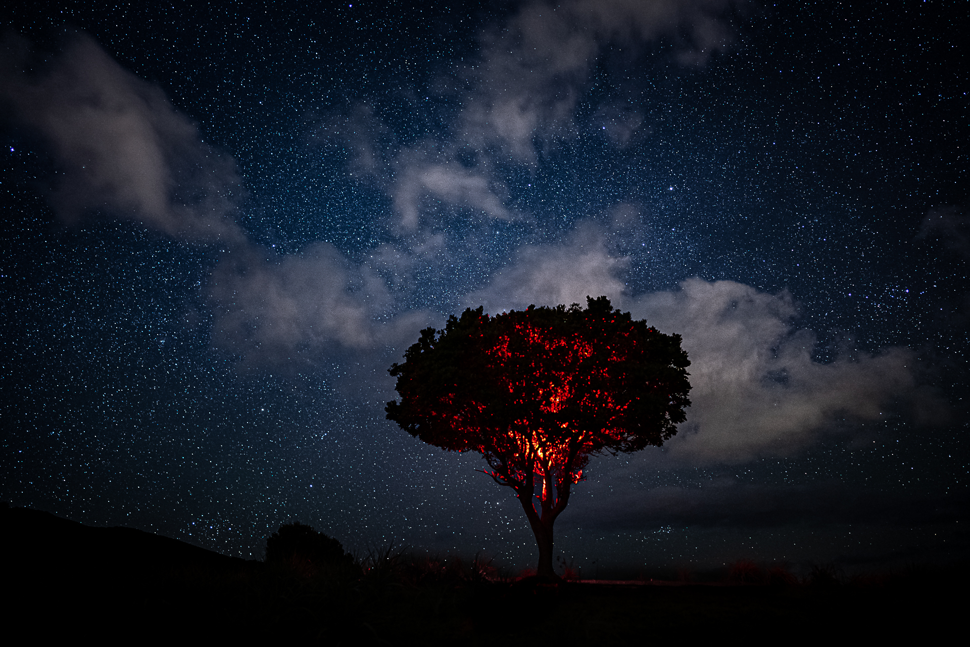 Photographie des étoiles par Sandy Berthaud