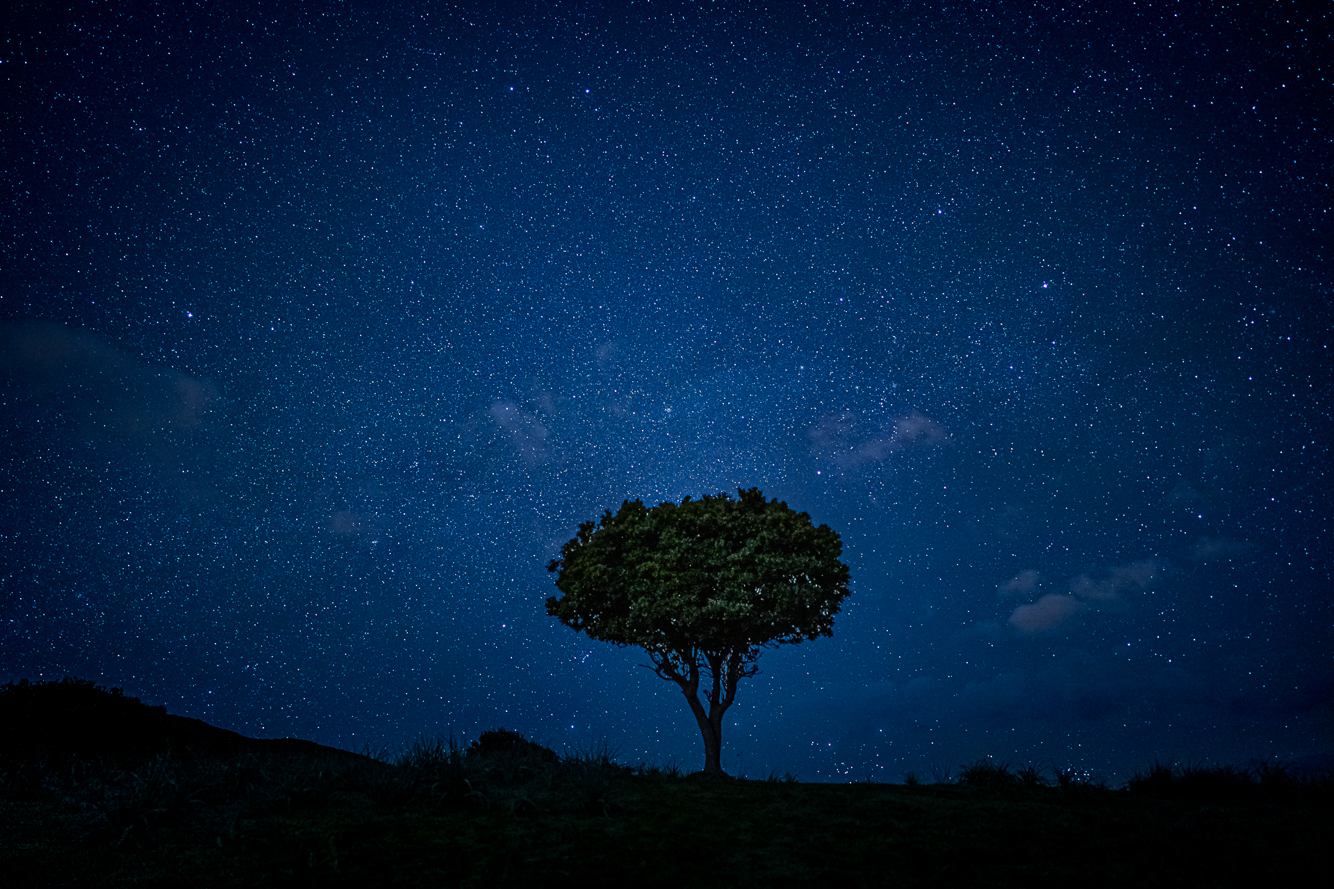 Photographie des étoiles par Sandy Berthaud