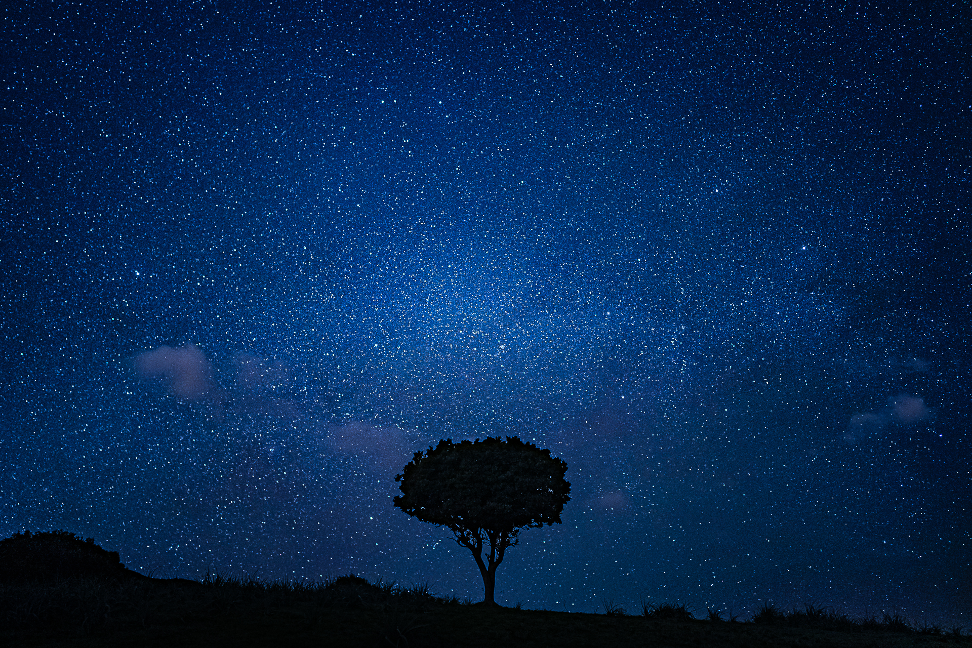 Photographie des étoiles par Sandy Berthaud