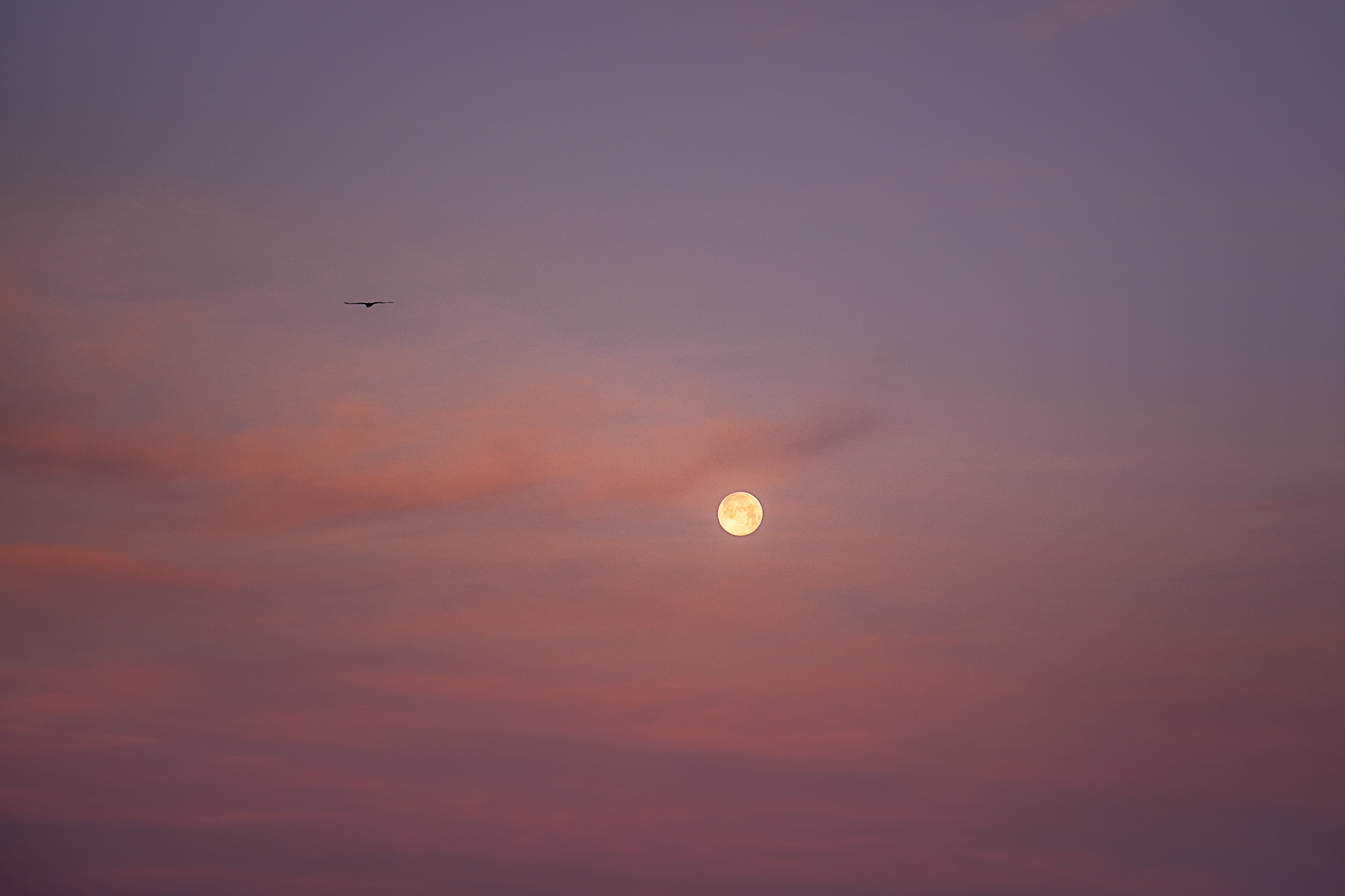 Photographie de la lune sandy berthaud