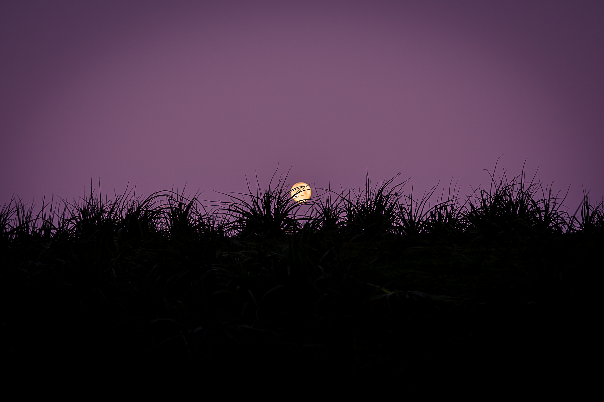 Photo de la pleine lune par Sandy Berthaud