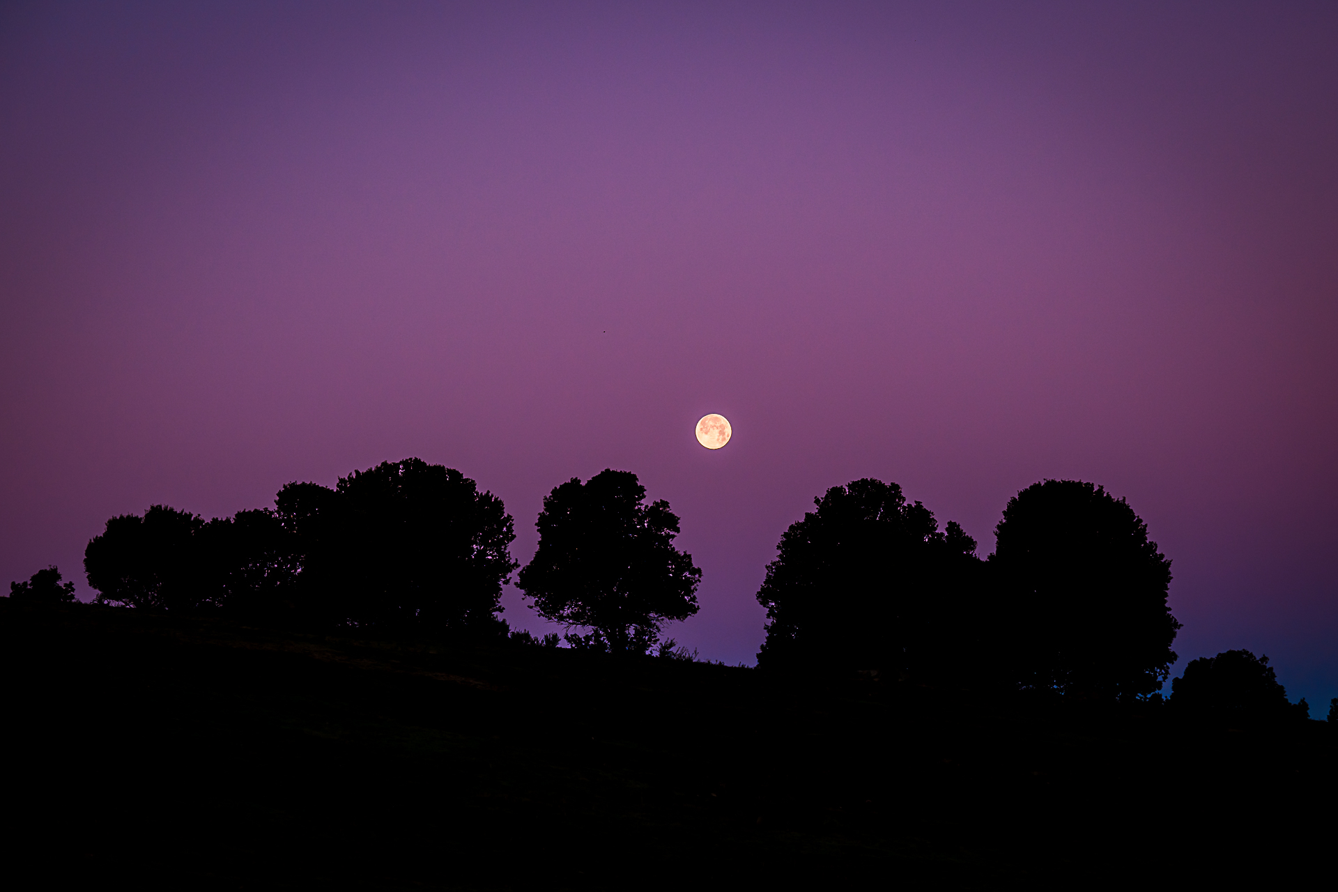 Photo de la pleine lune par Sandy Berthaud