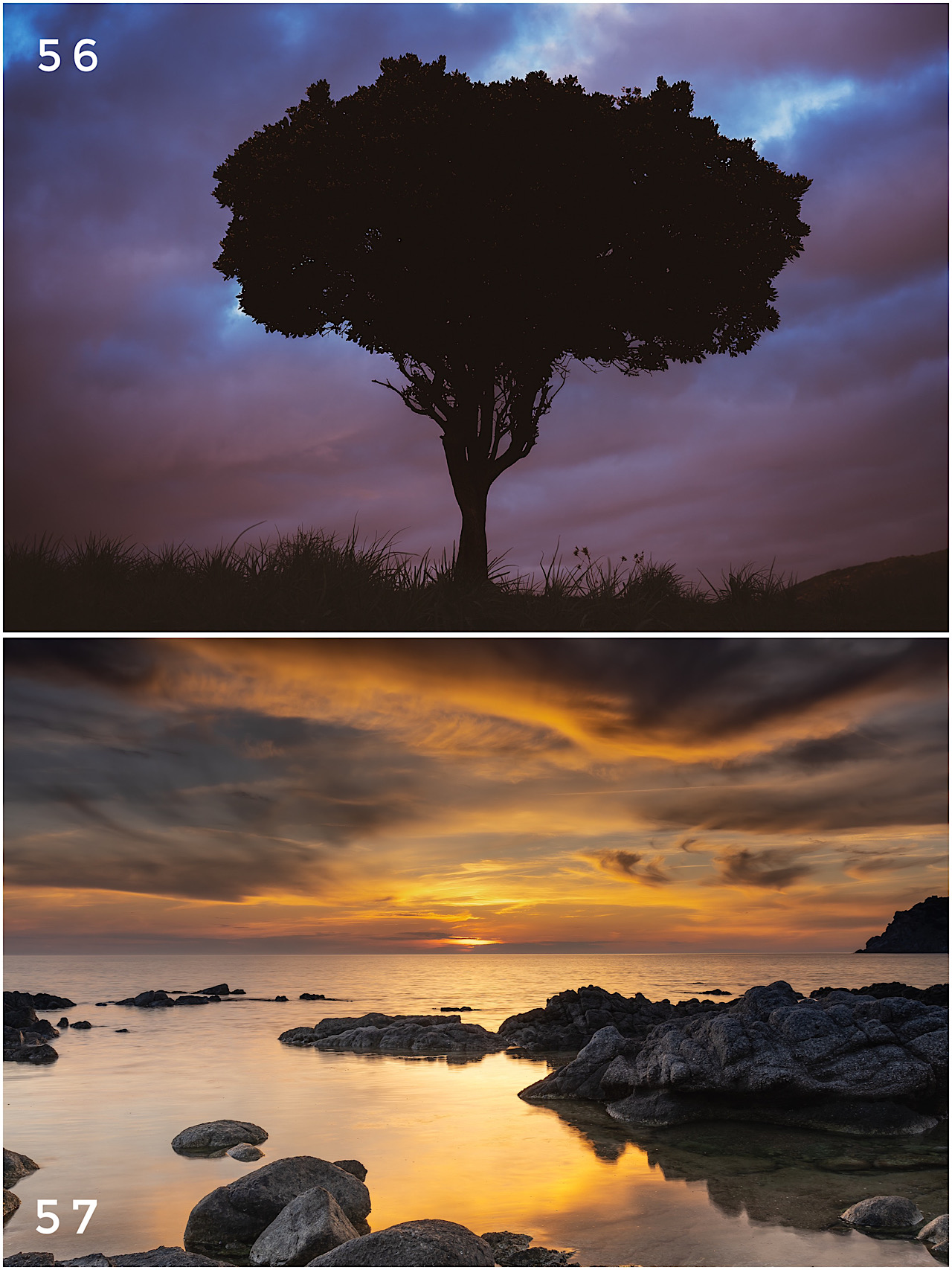 Cartes postales toucher peau de pêche nature, paysages, macro par Sandy Berthaud Photographie
