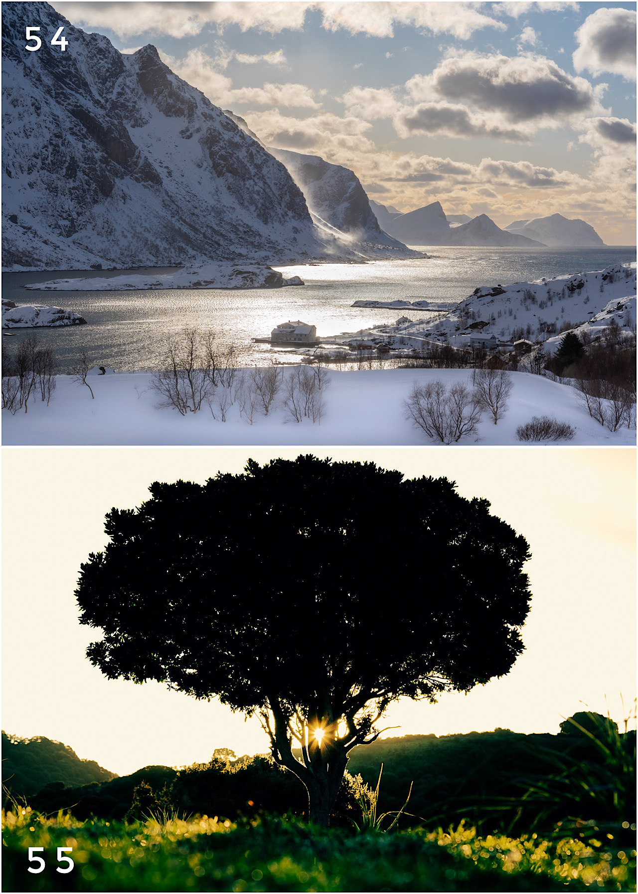 Cartes postales toucher peau de pêche nature, paysages, macro par Sandy Berthaud Photographie