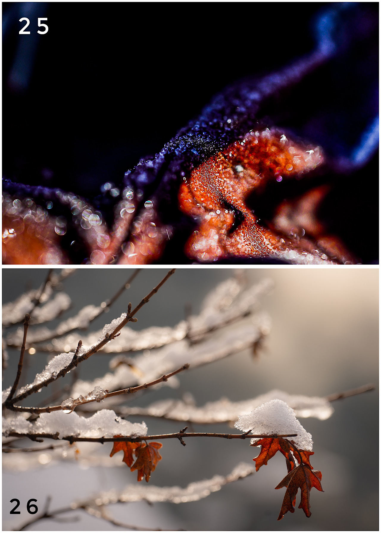 Cartes postales toucher peau de pêche nature, paysages, macro par Sandy Berthaud Photographie
