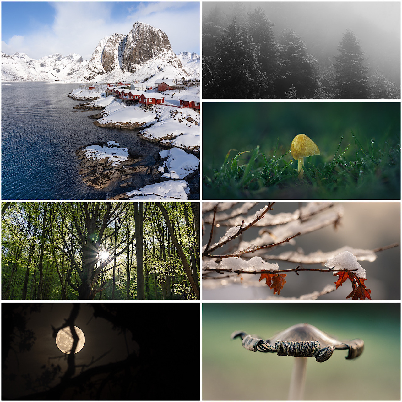 Cartes postales toucher peau de pêche nature, paysages, macro par Sandy Berthaud Photographie
