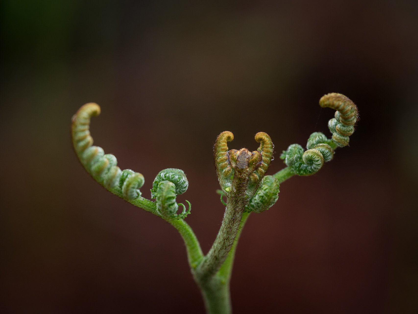 Photographie nature par Sandy Berthaud photographie